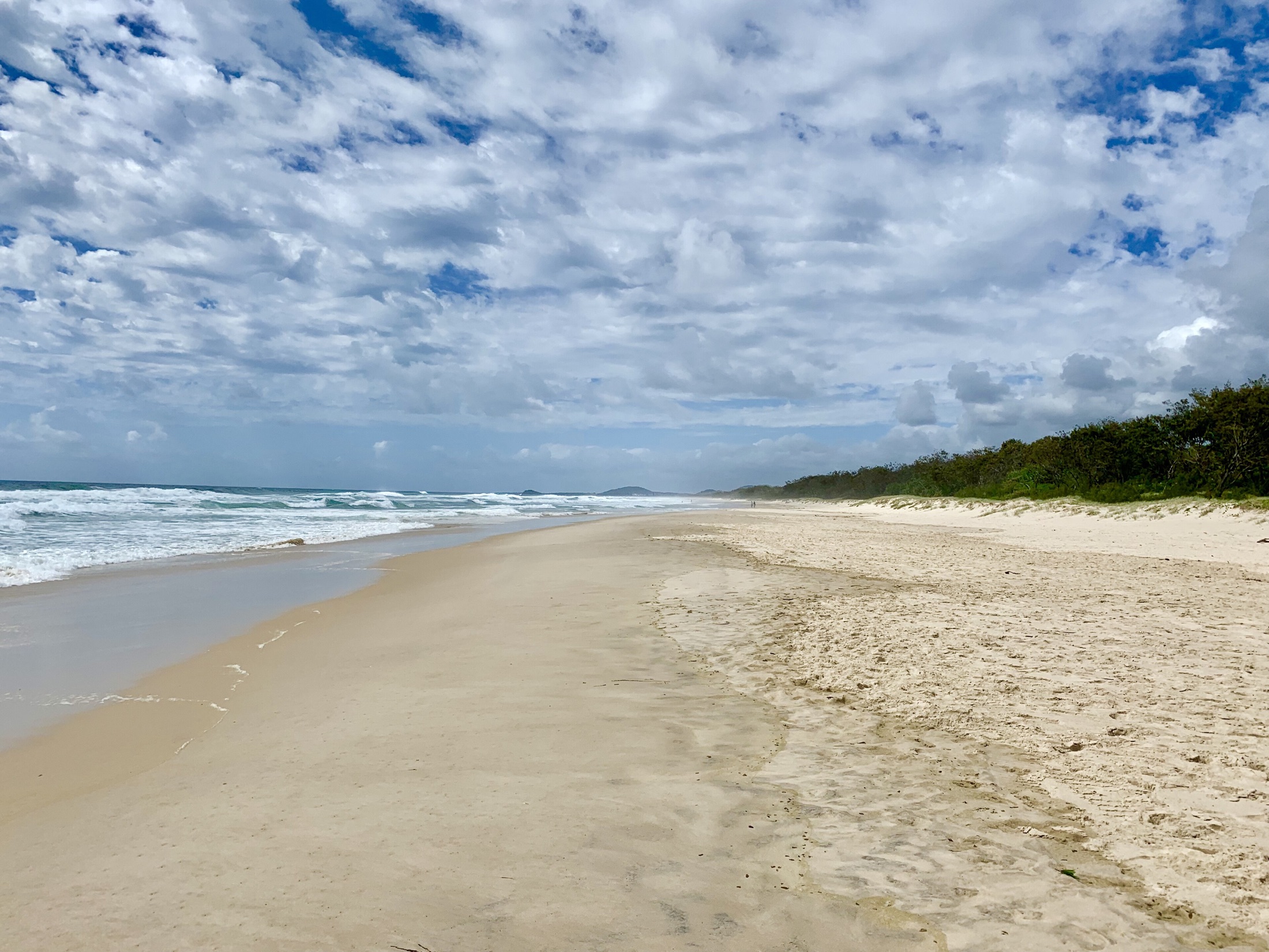 The open shoreline and coastal dunes at Salt Beach in Kingscliff